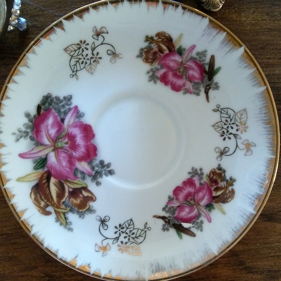 Cattleya Orchid Tea Cup Ready for Spring - Picture 7 of 8